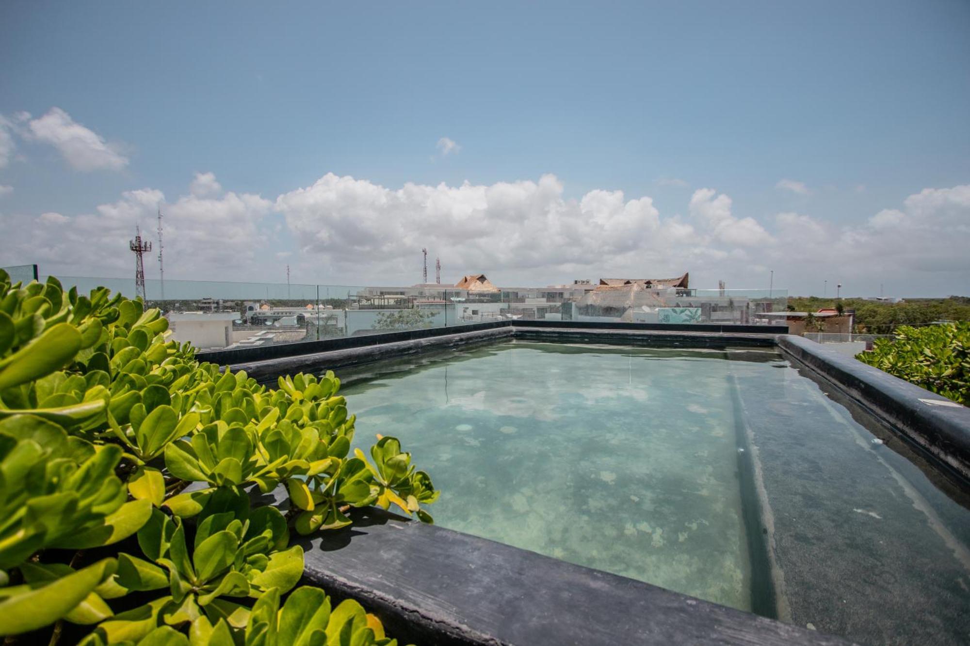 툴룸 Depto De Lujo Con Plunge Pool Privada 아파트 외부 사진